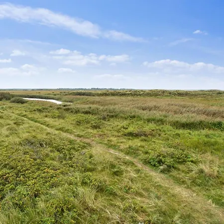 Swana - 550m From The Sea In Western Jutland By Interhome Semesterbostad
